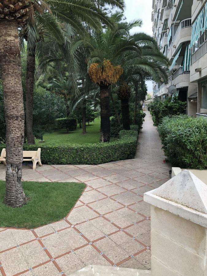 Apartamento Parque 2 Playa De Gandia מראה חיצוני תמונה