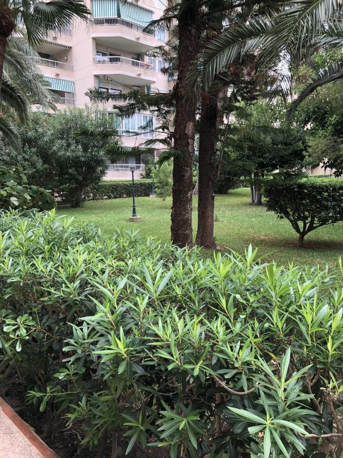 Apartamento Parque 2 Playa De Gandia מראה חיצוני תמונה