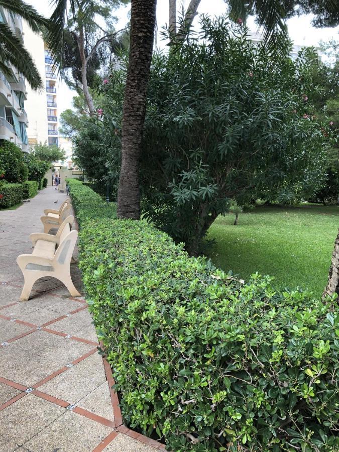 Apartamento Parque 2 Playa De Gandia מראה חיצוני תמונה