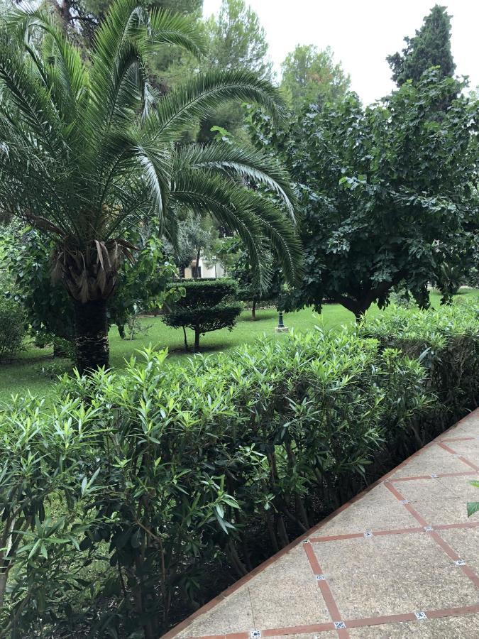 Apartamento Parque 2 Playa De Gandia מראה חיצוני תמונה